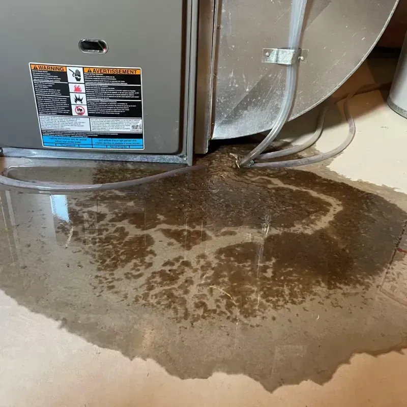 Appliance Leak Cleanup in Leachville, AR